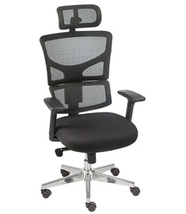 Fastest Growing Brand in Mesh Chairs